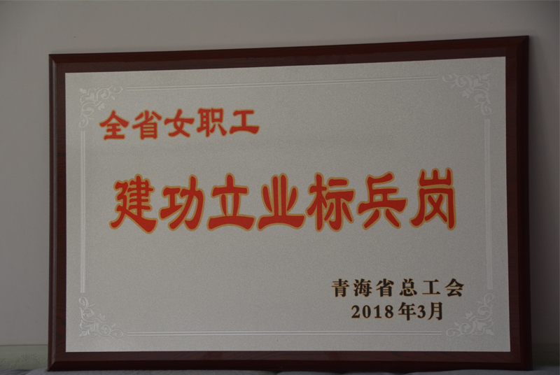 小容量注射劑車間洗烘灌封聯(lián)動線班組榮獲“全省女職工建功立業(yè)標兵”榮譽稱號。