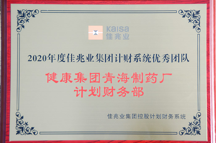 公司計(jì)劃財(cái)務(wù)部榮獲“2020年度 佳兆業(yè)集團(tuán)計(jì)財(cái)系統(tǒng)優(yōu)秀團(tuán)隊(duì)”稱號(hào)