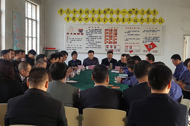 省委常委參加十車間黨支部專題組織生活會和民主評議黨員會議